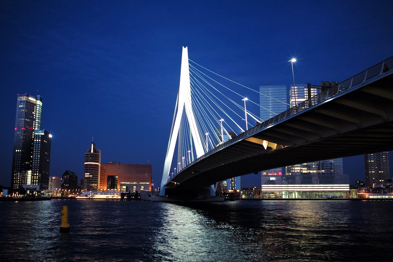 cityscape, architect, rotterdam, nighttime, Tripod, bridge, long-exposure, swan, body, architecture, monument, gray, Leica, Europe, f/2, sculpture, Holland