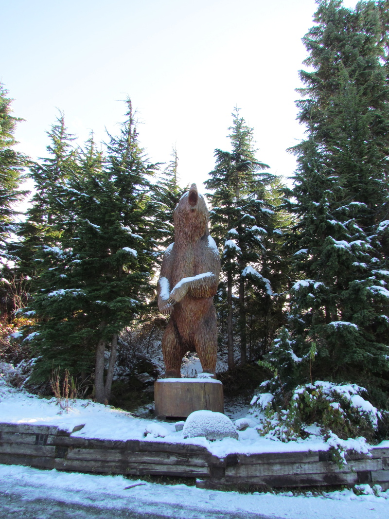 cold temperature, sculpture, growth, outdoors, representation, vancouver, bear, view, canada, creativity, snow, mountain, coniferous tree, frozen, day