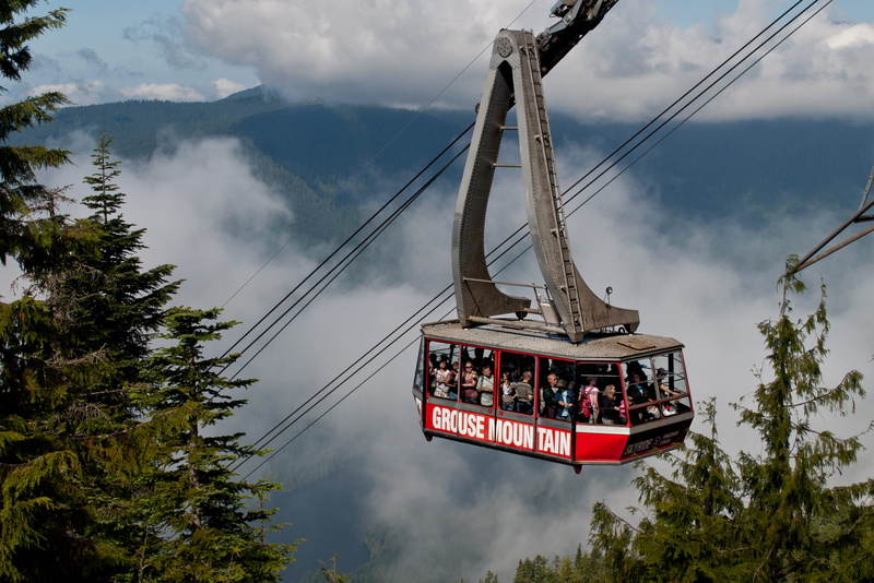 tree, overhead cable car, nature, no people, fog, outdoors, built structure, grouse mountain lodge, cable car, cable, sky, mountain, mode of transportation