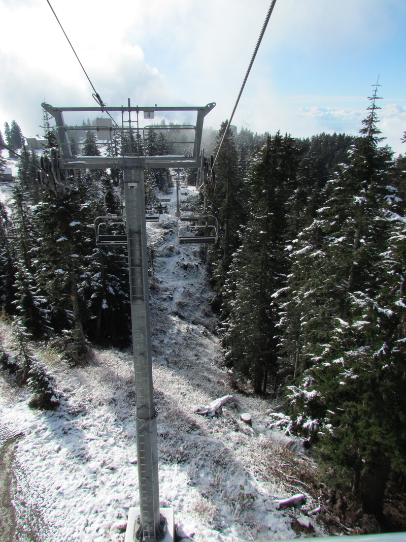 plant, view, 4K, overhead cable car, outdoors, sky, winter, tranquility, tranquil scene, landscape, day, tree, land, travel, growth, nature, grouse mountain