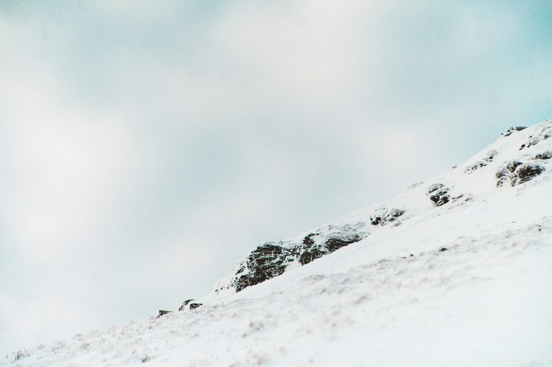 environment, ice, mammal, mountain range, leisure activities, grouse, nature, tranquility, no people, slope, banister, snowboarding, cold temperature, piste