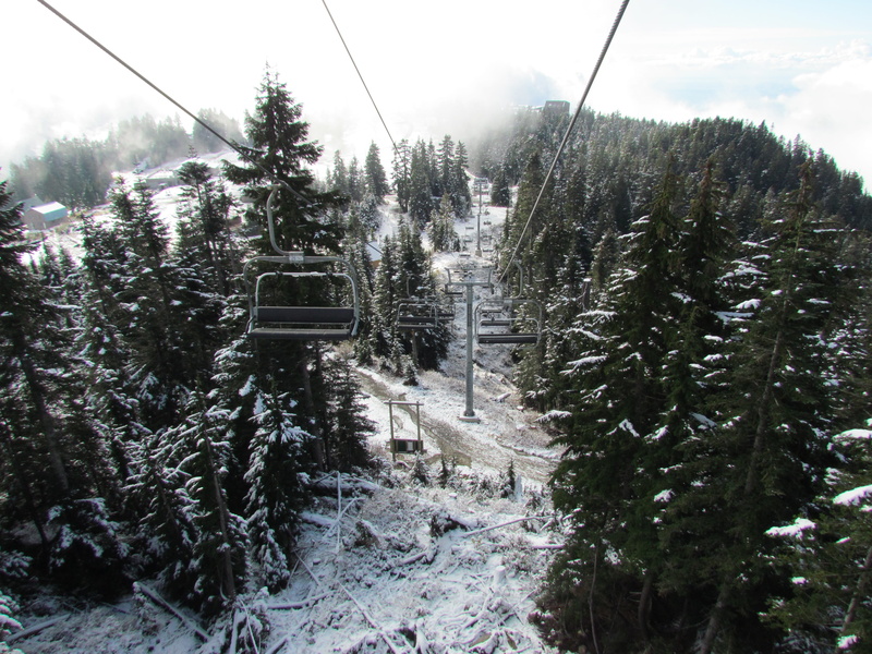 pine tree, transportation, coniferous tree, no people, beauty in nature, snowcapped mountain, cold temperature, tree, travel, cable car, view, land, plant