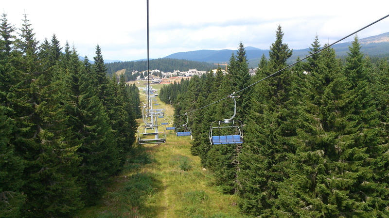 ski track, built structure, mountain, pine tree, outdoors, Kopaonik, plant, Track, nature, cable car, growth, coniferous tree, sky, day, green color, architecture
