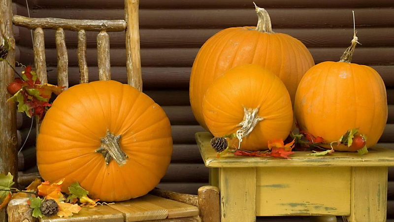 canada, four, parks, vancouver, food, autumn, 1080P, north, photo, squash, orange, background, pumpkins