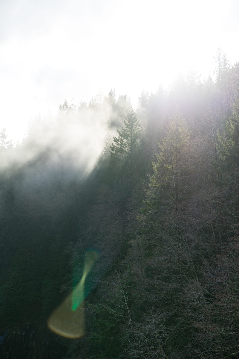 flare, canada, clouds, sun flare, tranquil scene, tranquility, non-urban scene, light, outdoors, morning, nature, forest, light rays, hazy, british columbia