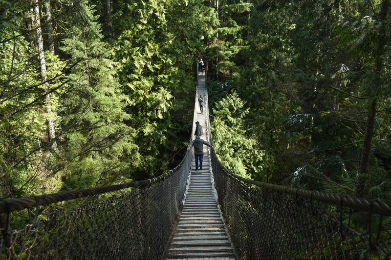 bridge - man made structure, transportation, lynn canyon, built structure, day, land, growth, diminishing perspective, green color, long, direction, beauty in nature