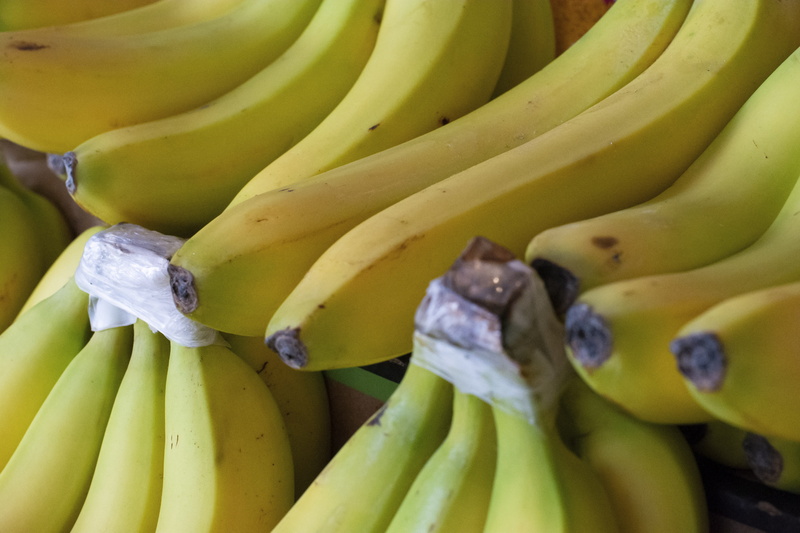 4K, bananas, abundance, north vancouver, detail, tropical fruit, organized, row, closeup, freshness, rows, bunch, flora, bundle, food, store bananas, produce