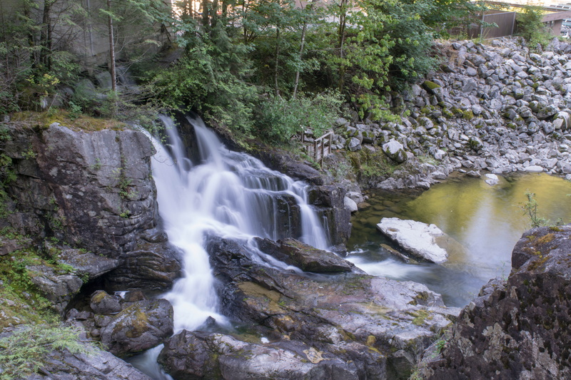 tree, power in nature, rainforest, land, plant, flowing water, forest, canada, flowing, 5K, motion, water, waterfall, long exposure, outdoors, environment