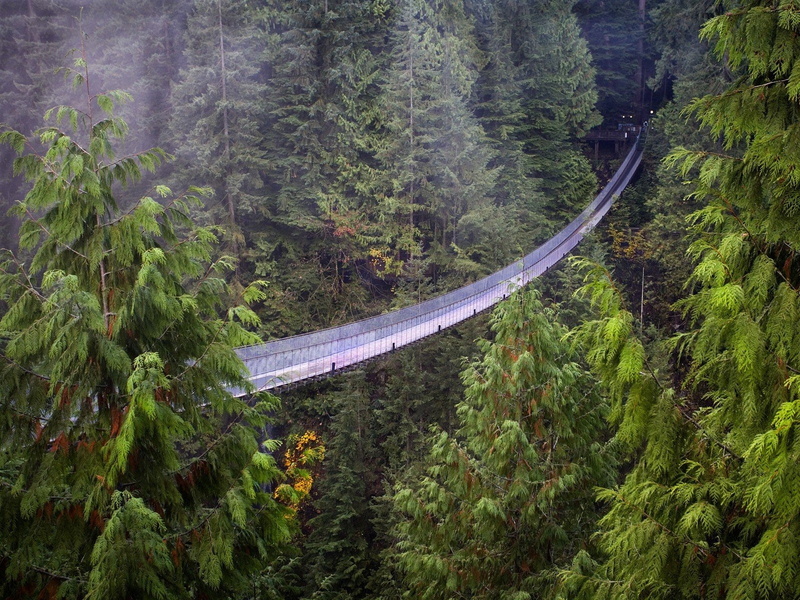 suspension, bridge, capilano, british, columbia, 720P, vancouver