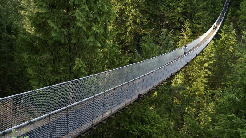 land, no people, green color, foliage, fuel and power generation, built structure, bridge, lush foliage, outdoors, nature, growth, day, capilano river