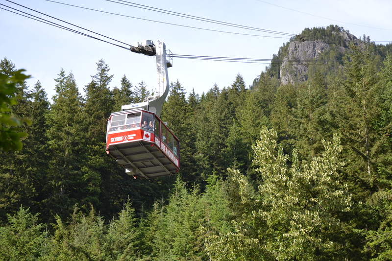 land vehicle, day, land, nature, cabin, forest, tree, low angle view, gondola, helicopter, no people, mountain railway, cable, mode of transportation, overhead cable car