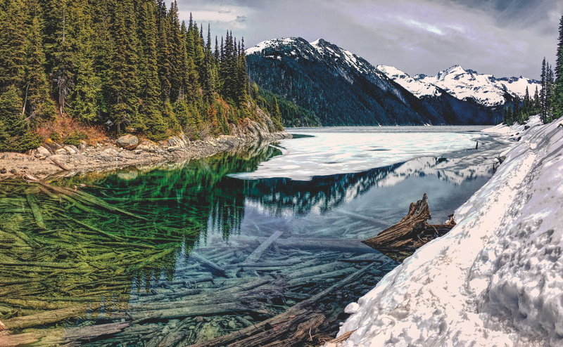 snowcapped mountain, logs, tranquil scene, body, whistler, peak, tranquility, scenics - nature, mountain, no people, plant, bc, forest, trees, sky, lake