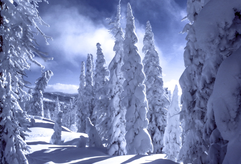 clouds, sunny, cloud - sky, nature, iceberg, non-urban scene, no people, mountain, weather, extreme weather, frozen, landscape, tranquil scene, trees, cold temperature
