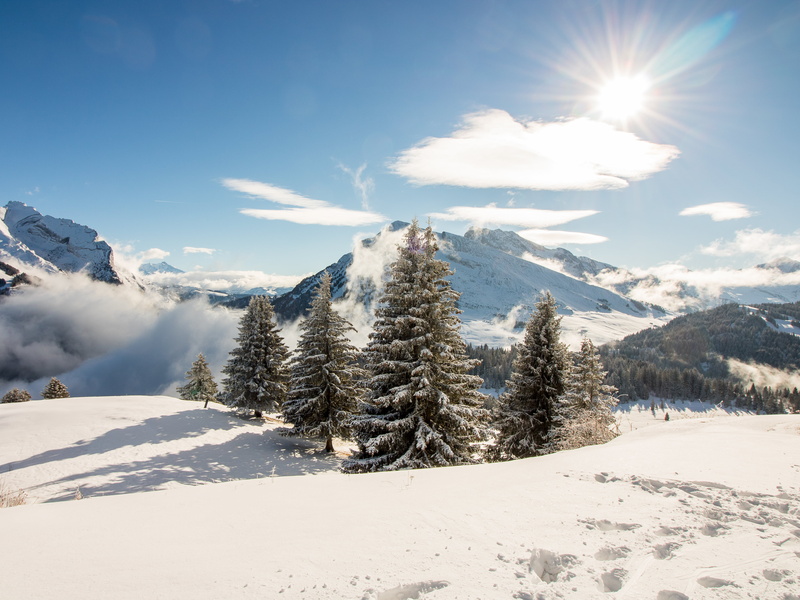 sunlight, covered, european Alps, pine trees, winter, Landscape, trees, nature, mountain, sky, snowscape, snow, scenics, cold - Temperature, La Clusaz