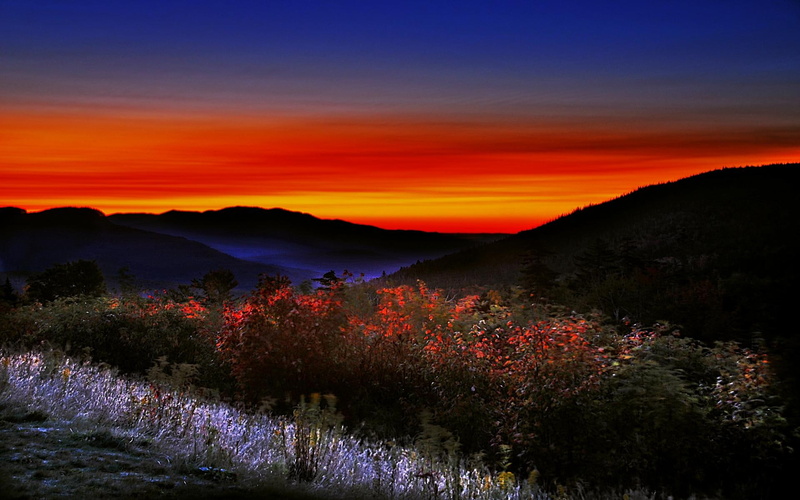 light, 1080P, 3d and abstract, plants, hour, sunset, mountain, magic