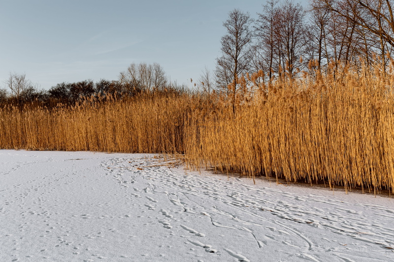 sky, no people, frozen, footpath, beauty in nature, landscape, winter, day, grass, tranquility, the way forward, adventure, direction, outdoors, lake, middle