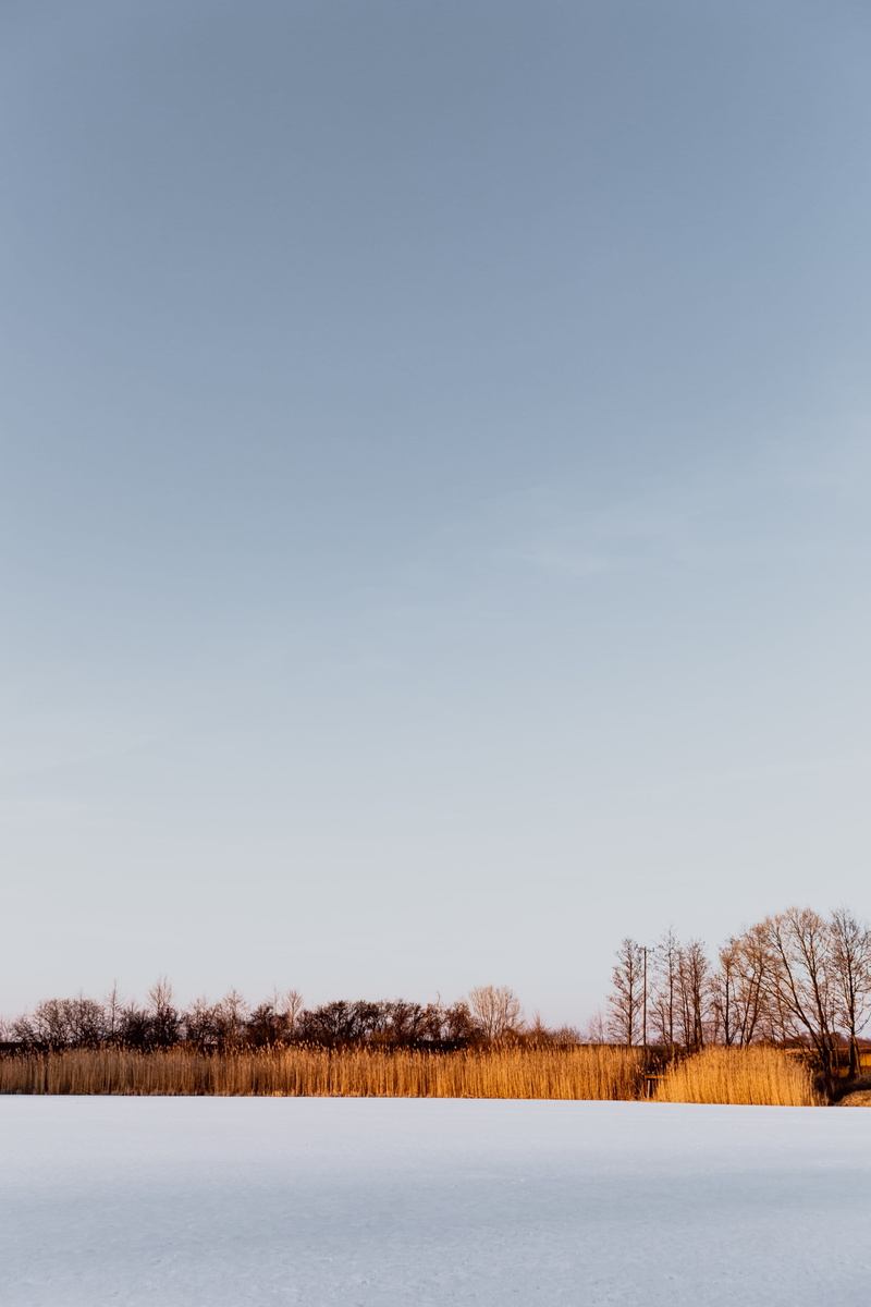 landscape, land, nature, 5K, environment, middle, sky, copy space, tree, tranquility, scenics - nature, snow, magic hour, outdoors, non-urban scene, lake