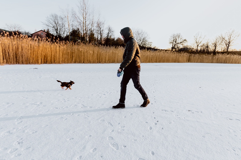 winter, warm clothing, sunset, dom, domestic, animal, pets, middle, full length, canine, 5K, lake, mammal, domestic animals, cane, lifestyles, animal themes