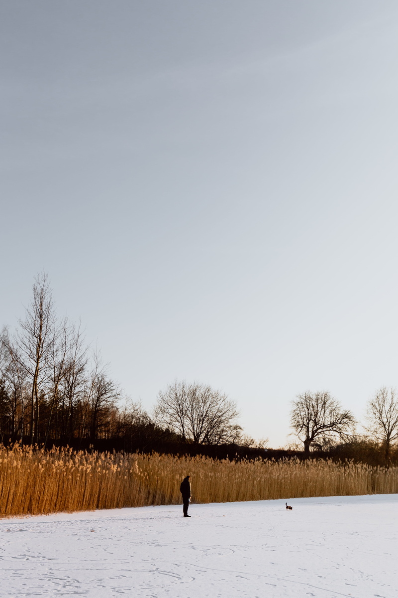 snow, 4K, beauty in nature, lake, magic hour, tranquil scene, plant, real people, winter, outdoors, field, adventure, covering, warm clothing, middle