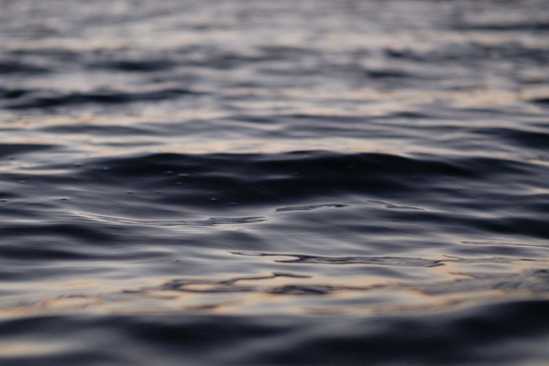 pattern, landscape, beauty in nature, water Surface, liquid, sunset, flowing water, selective focus, no people, backgrounds, travel, motion, rippled, field