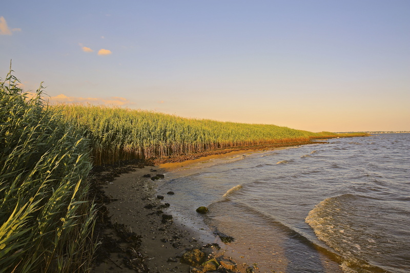 sea, sand, current, rice, day, beauty in nature, waves, scenics, non-urban scene, nature, landscape, sky, tranquility, sunset, land, ocean, idyllic, growth