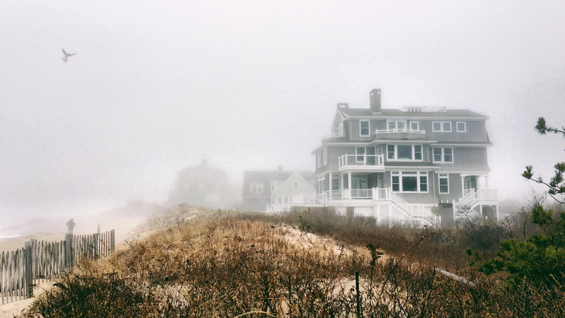 sky, beach, weekapaug inn, tree, architecture, nature, united states, day, residential district, built structure, winter, cold temperature, plant, no people