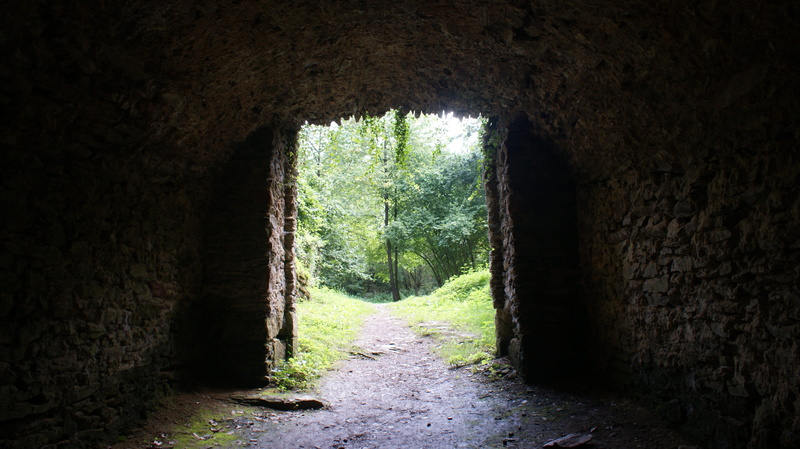 wall - building feature, the way forward, built structure, Path, old, architecture, 4K, indoors, arch, nature, Forest, rose, day, Dark, direction, light at the end of the tunnel
