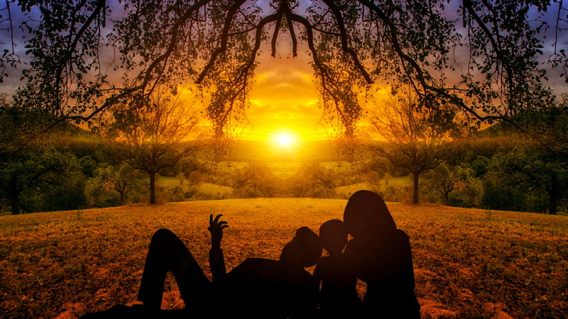 leaves, woman, close, nature, landscape, family, father, sunset, panorama, people, sitting, plant, vertebrate, sky, design, outdoors, environment, looking