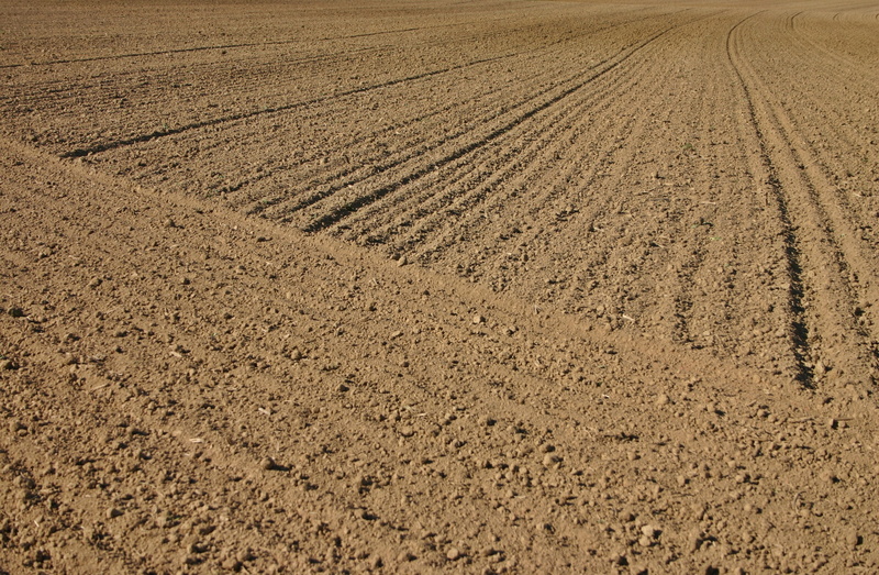 tranquility, landscape, field, rural Scene, ground, high angle view, symmetry, no people, background, land, 2K, tire track, textured, brown, beach, pattern