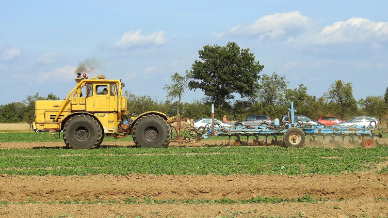 tillage, equipment, ploughing, construction industry, agricultural tractor, working, kasimir, tractor, construction machinery, plant, tree, industry, plow