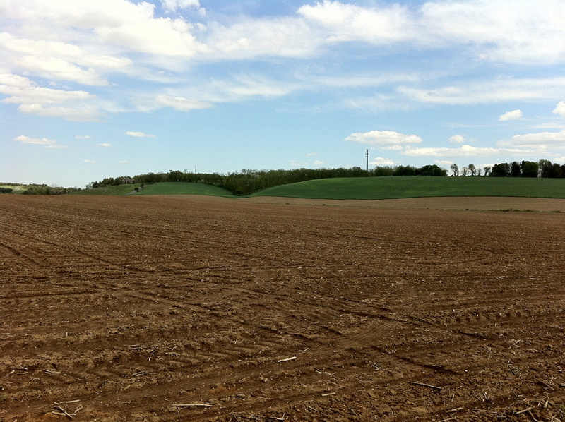 outdoor, Nature, plants, landscape, sky, landscaped, plough, summer, environment, beauty in nature, plowed Field, cultivation, plant, crop, freshness, rural Scene