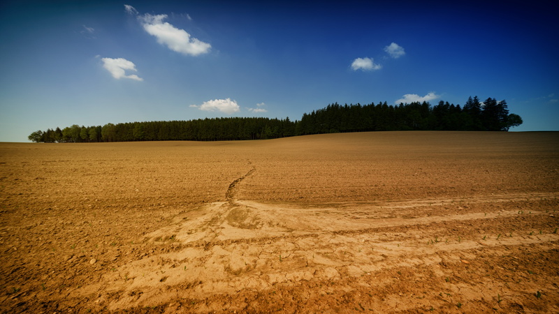 cloud - sky, outdoor, scenics - nature, landscape, hill, sand, field, plants, 5K, beauty in nature, daytime, no people, urban skyline, soil, grass, trees