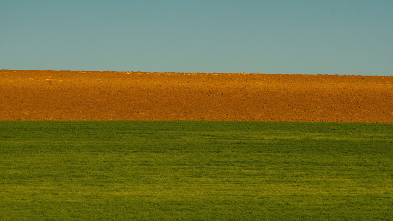 horizon over land, day, grass, outdoors, sky, laid, plain, playing field, green color, golf course, copy space, environment, field, landscape, no people