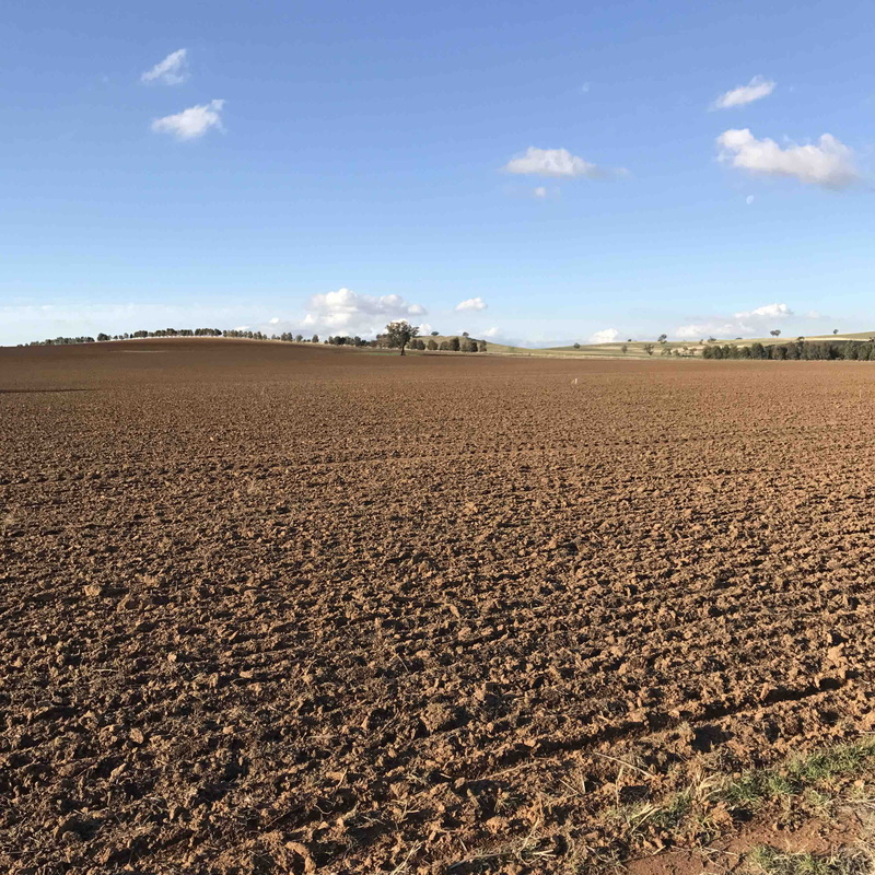 planting, beauty in nature, scenics - nature, nature, cloud - sky, plowed field, agriculture, farm, rural scene, cootamundra, tranquility, outdoors, australia