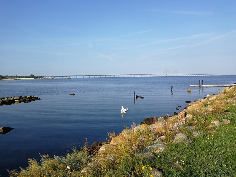 beauty in nature, 2K, land, water, summer, nature, the oresund, bridge, horizon, no people, tranquil scene, sky, day, sea, non-urban scene, swan, outdoors