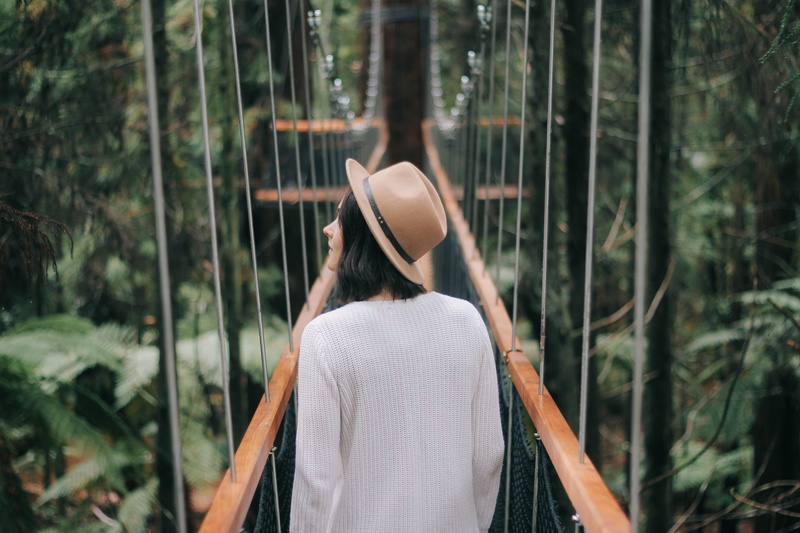 young women, outdoors, brown, land, forest, redwood, hat, suspension bridge, woman, crossing, hairstyle, one person, plant, looking at view, day, young adult