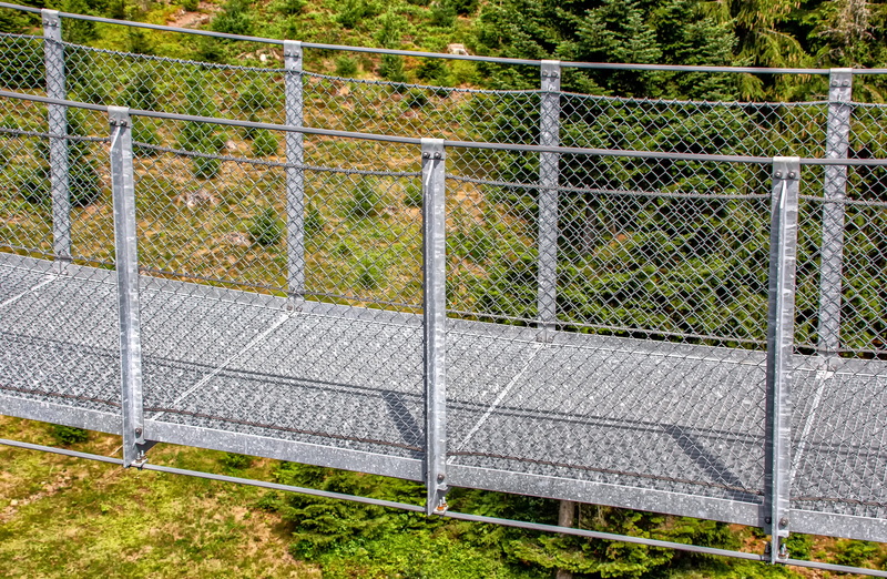 grass, connection, zinc plated, unused, web, nature, wire, wire rope, mount, forest, chainlink fence, metal, growth, shadow, fence, architecture, land