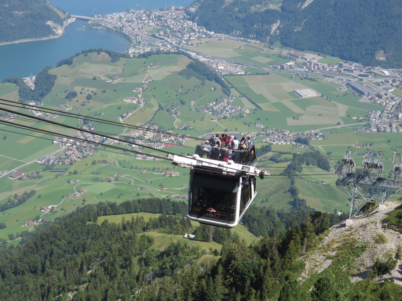 Convertible, growth, overhead cable car, Mountain, tree, double decker, green color, cable car, airy, cabins, outdoors, idyllic, nature, beauty in nature
