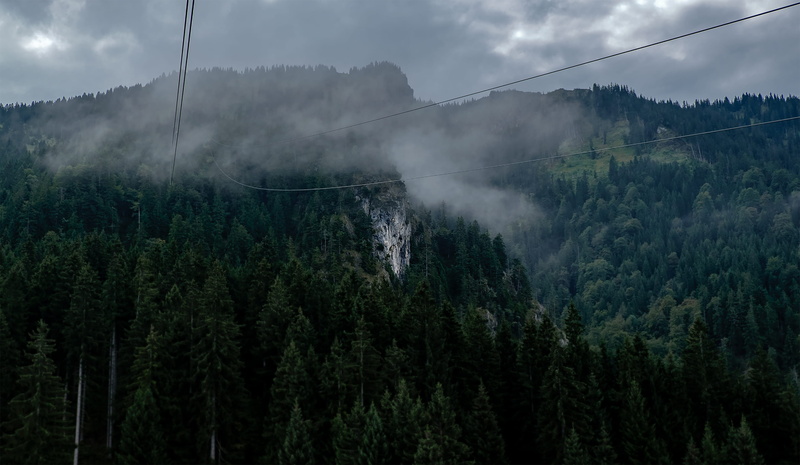 photography, pine tree, two, 2K, cloud - sky, tranquility, tranquil scene, fog, landscape, tree, crossing, sky, environment, scenics - nature, cable, beauty in nature