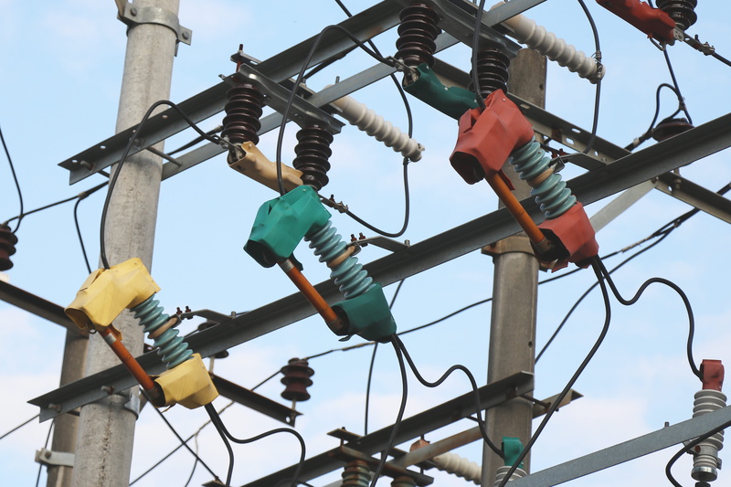 hanging, wiring, no people, mammal, power plant, utility pole, 5K, complexity, suspension, low angle view, built structure, connection, nature, clear sky
