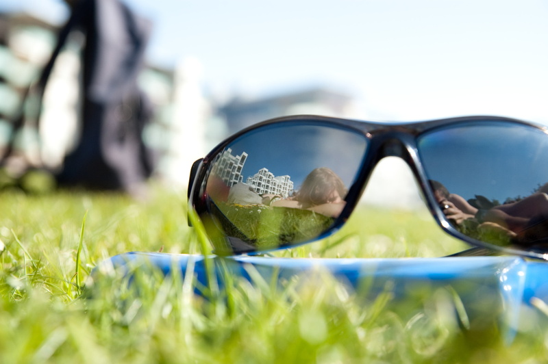 spring, västra  hamnen, sweden, black, shallow, shallow focus, grass, eyeglasses, 2K, reflection, daytime, focus, green, malmö  västra, sunglasses, Västra hamnen