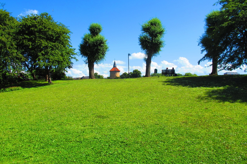 beauty in nature, water, park, grass, sweden, malmö, growth, water tower, built structure, nature, 2K, sunlight, tranquility, skåne, building exterior