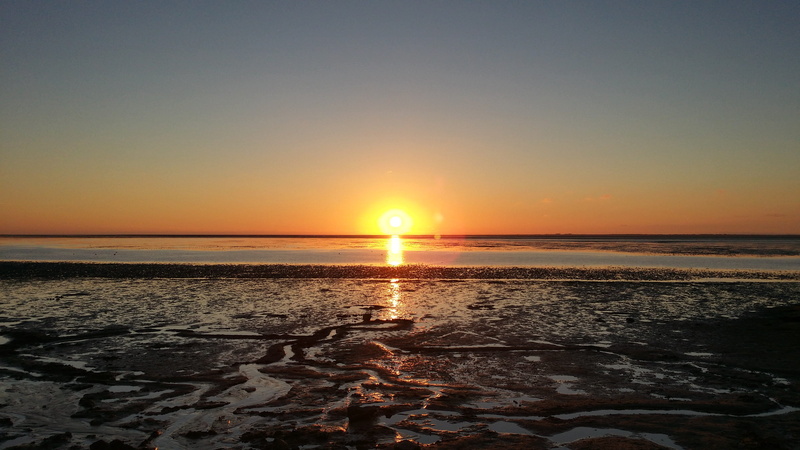 sun, beach, norden-norddeich, lens flare, north sea, evening, sea, horizon, bright, land, low tide, orange color, horizon over water, no people, 4K, tranquil scene