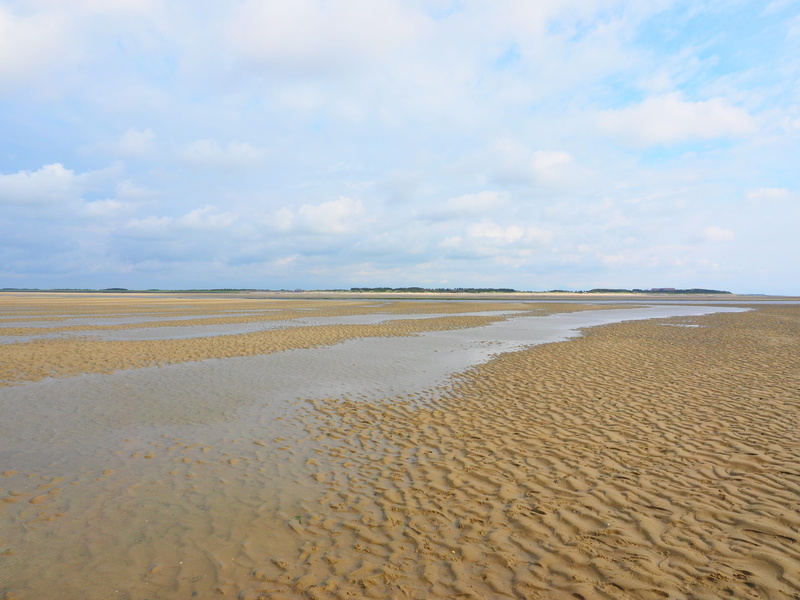 idyllic, mudflat hiking, cloud - sky, tranquil scene, low tide, remote, land, watts, environment, sky, beauty in nature, the coastal area, nature, watt hike