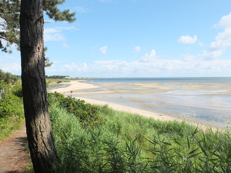 tranquility, holiday, beauty in nature, tree, day, horizon over water, 4K, beach, booked, outdoors, no people, scenics - nature, cloud - sky, water, green color