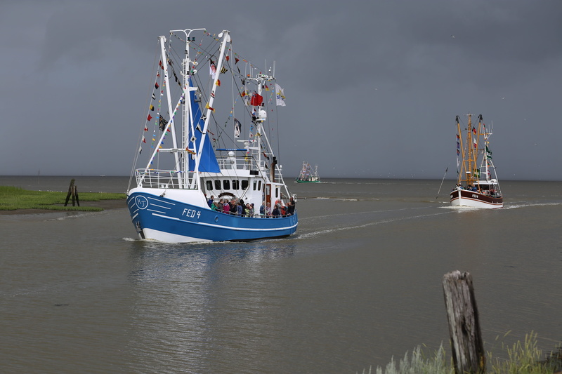 no people, mode of transportation, sailing, craft, environment, passenger craft, fedderwardersiel, day, shrimp, sailboat, water, nature, beach, travel
