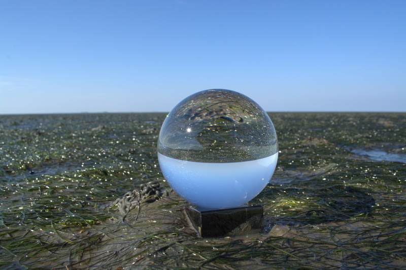 Photo, horizon over land, horizon, nature, sky, sphere, copy space, mirroring, clear sky, North Sea, no people, environment, single object, plant, watts