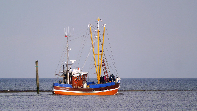 bay, pile, beach, coast, more, mode of transportation, day, flood, travel, sailing, shrimp, clear sky, watts, Wadden Sea, neuharlingersiel, sea, sailing Ship