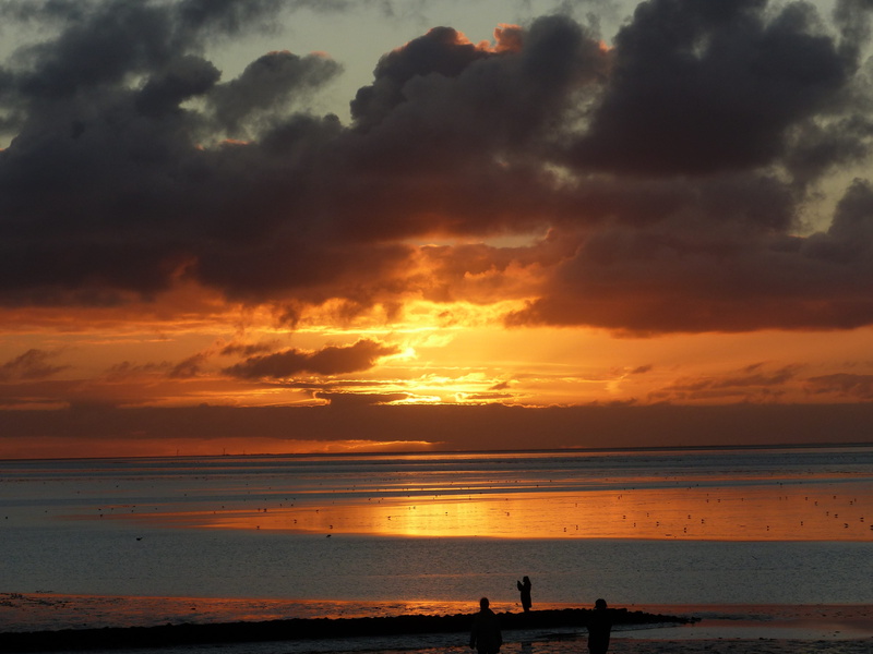 nature, norden-norddeich, incidental people, idyllic, land, non-urban scene, wadden sea, beach, north sea, sunset, horizon over water, sky, 4K, scenics - nature