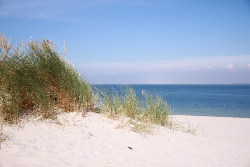 grass, land, north sea, sand, seashore, water, daytime, sylt, beauty in nature, tranquility, marram grass, outdoors, 4K, beautiful beach, sand dune, green